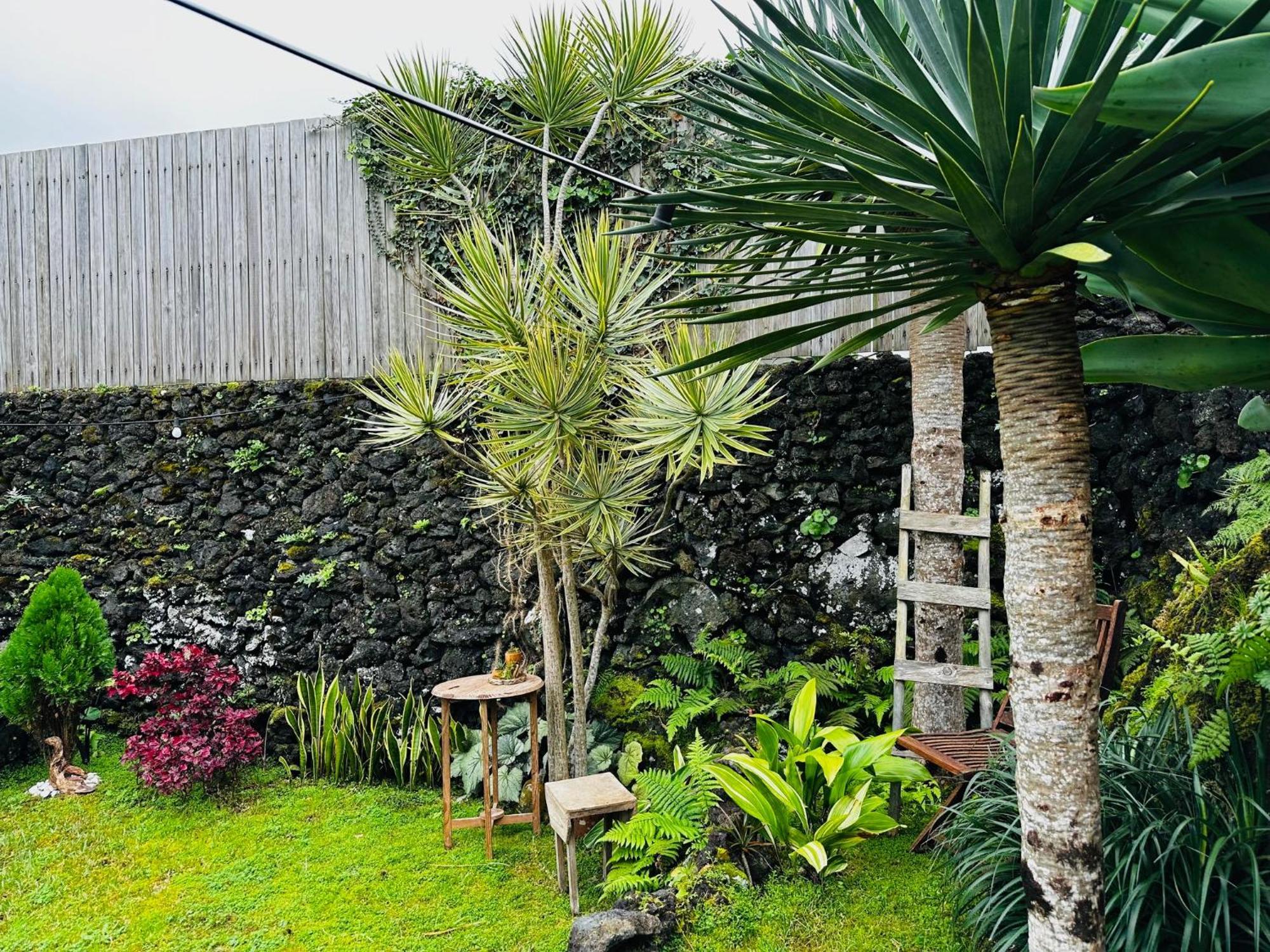 Praia do NortePortugal House别墅 外观 照片